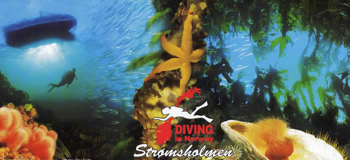 Werbegrafik Diving in Norway Strømsholmen